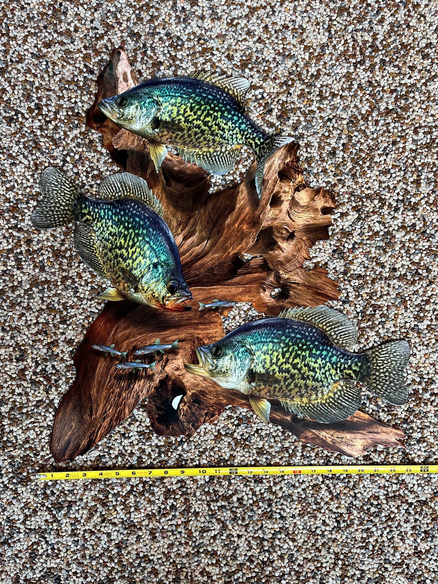 Crappie Replica Driftwood Scene Metal Rustic Decor