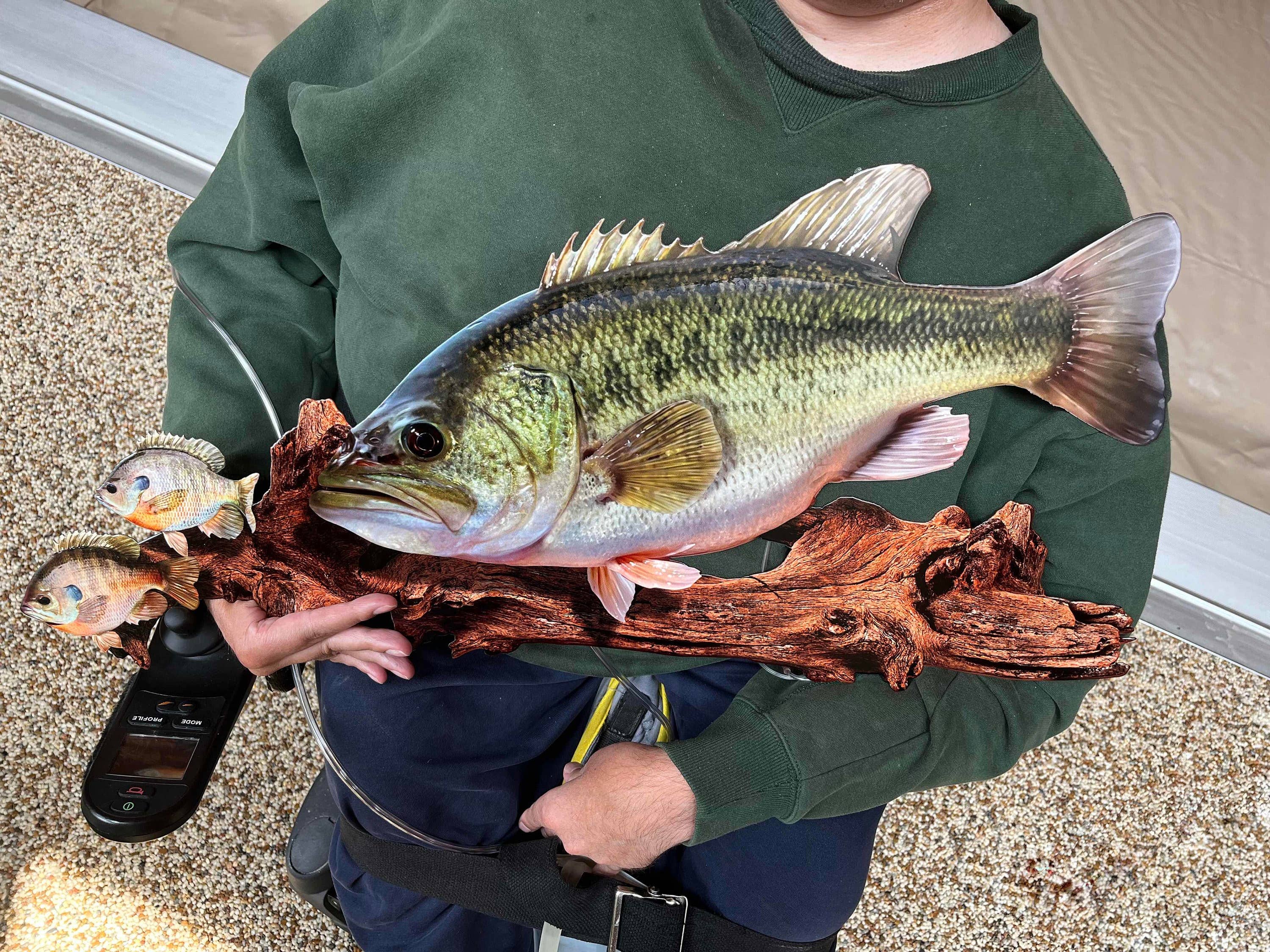 Largemouth Bass Replica - Metal Largemouth Replica Art 4