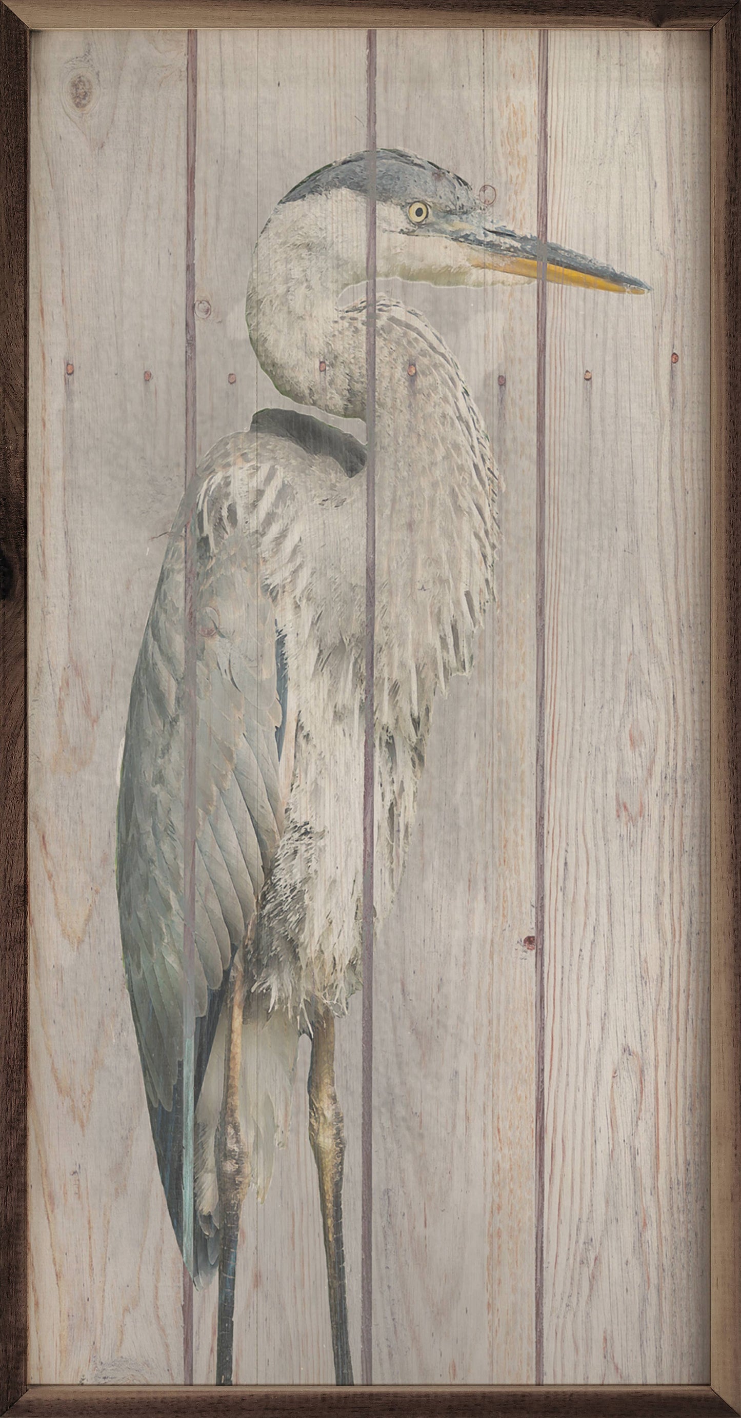 Heron Brown