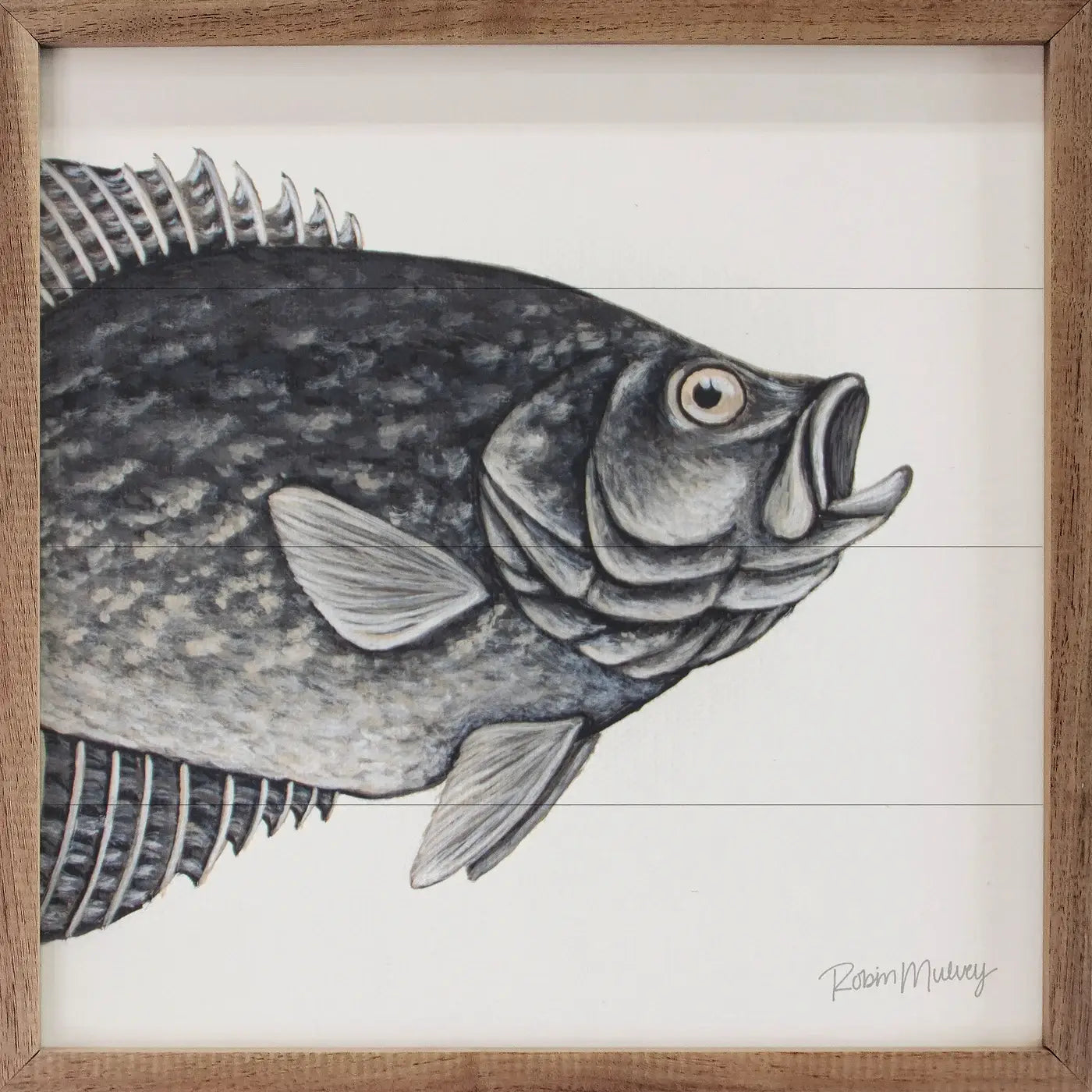Crappie By Robin Sue Studio