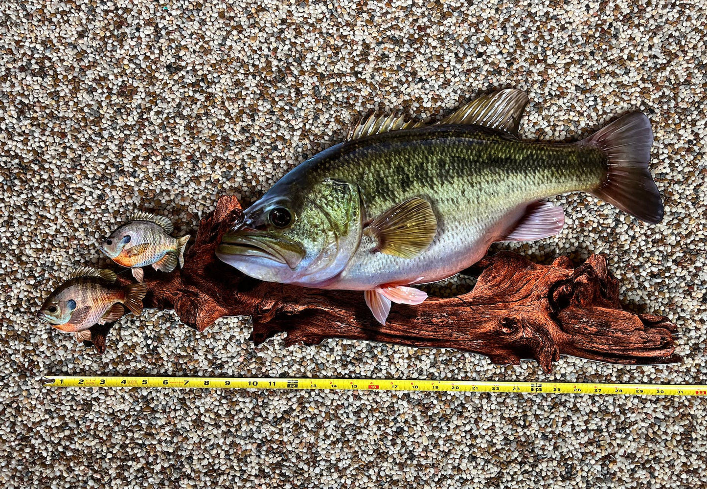 Largemouth Bass Replica - Metal Largemouth Replica Art