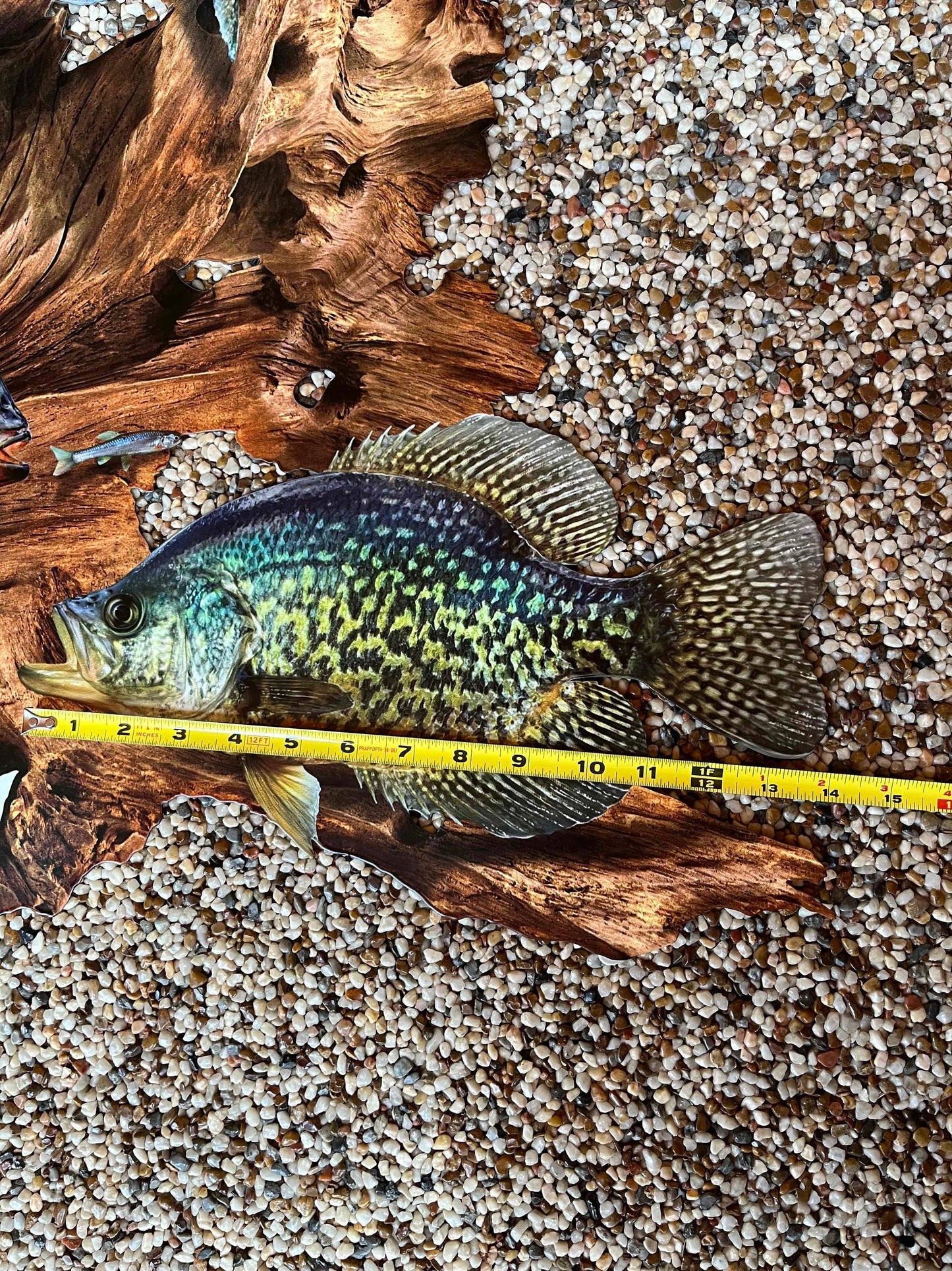 Crappie Replica Driftwood Scene Metal Rustic Decor