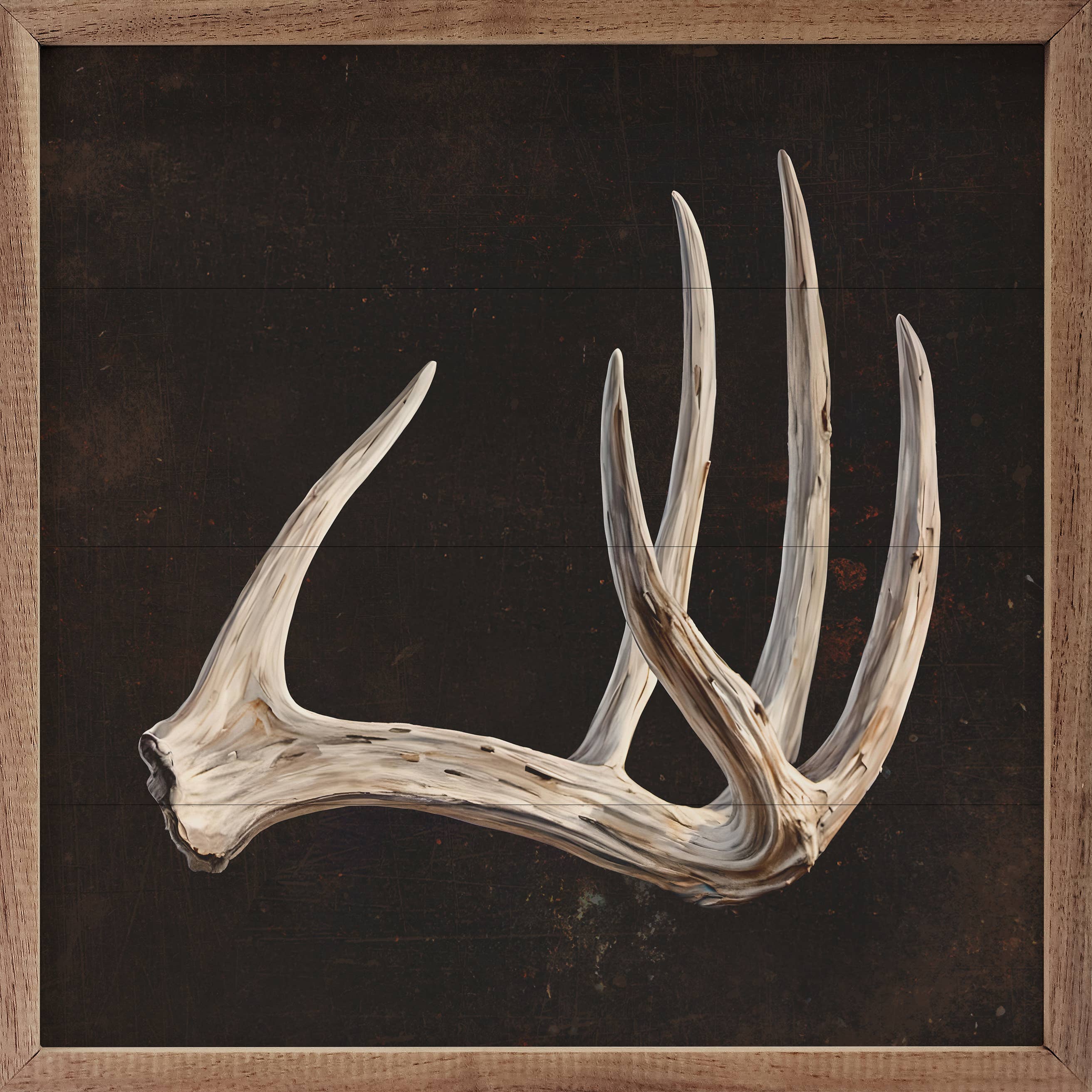 Antler Black 1