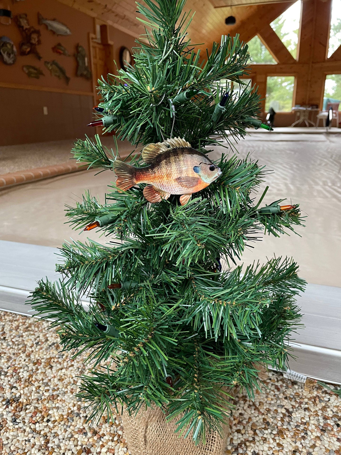 Bluegill Fish Ornament, Christmas Bluegill Fish Ornaments