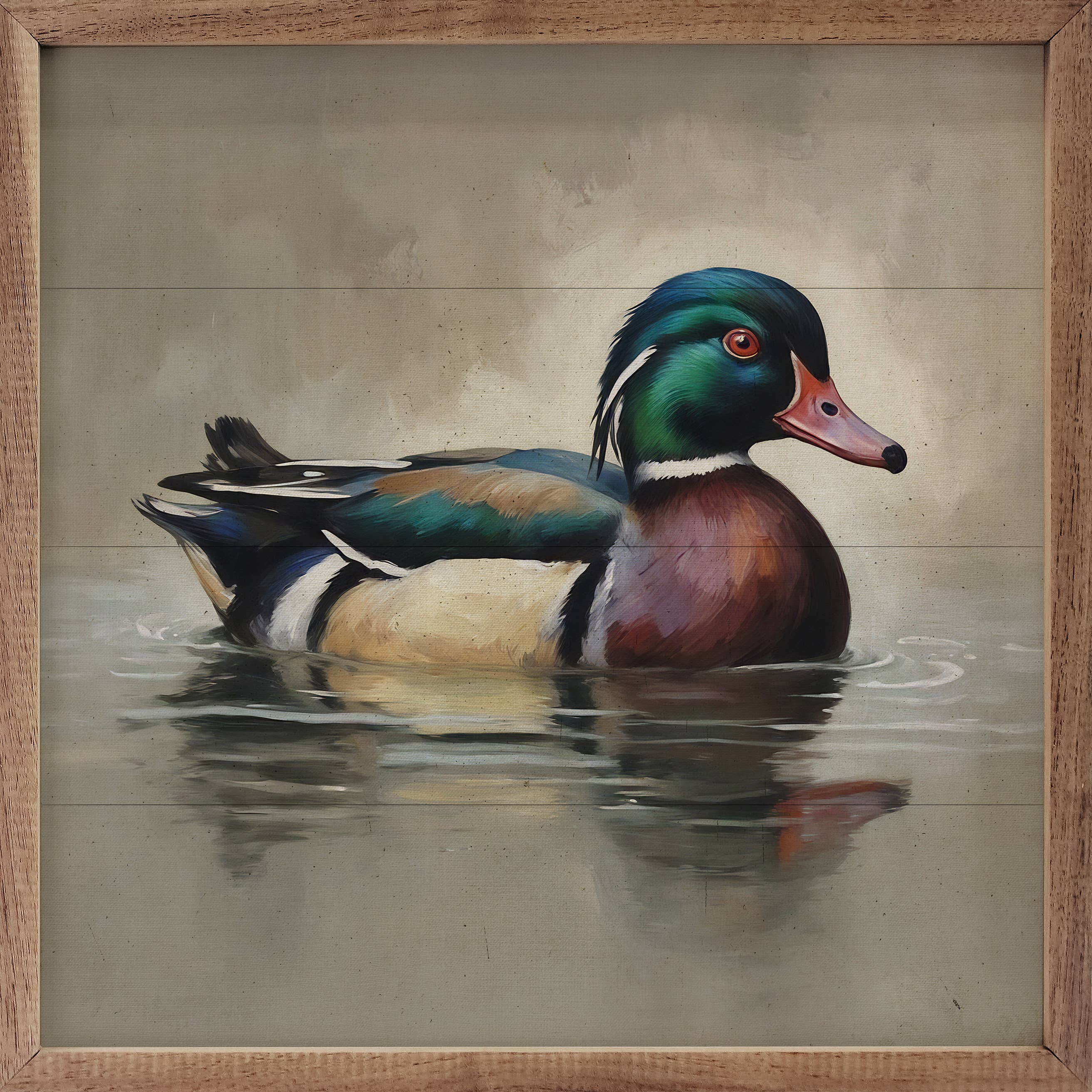 Wood Duck Portrait 1