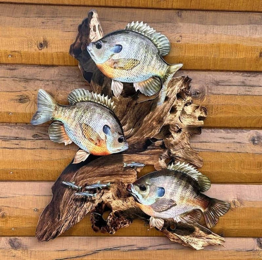 Bluegill Replica Driftwood Scene Rustic Home Decor, 2D Metal