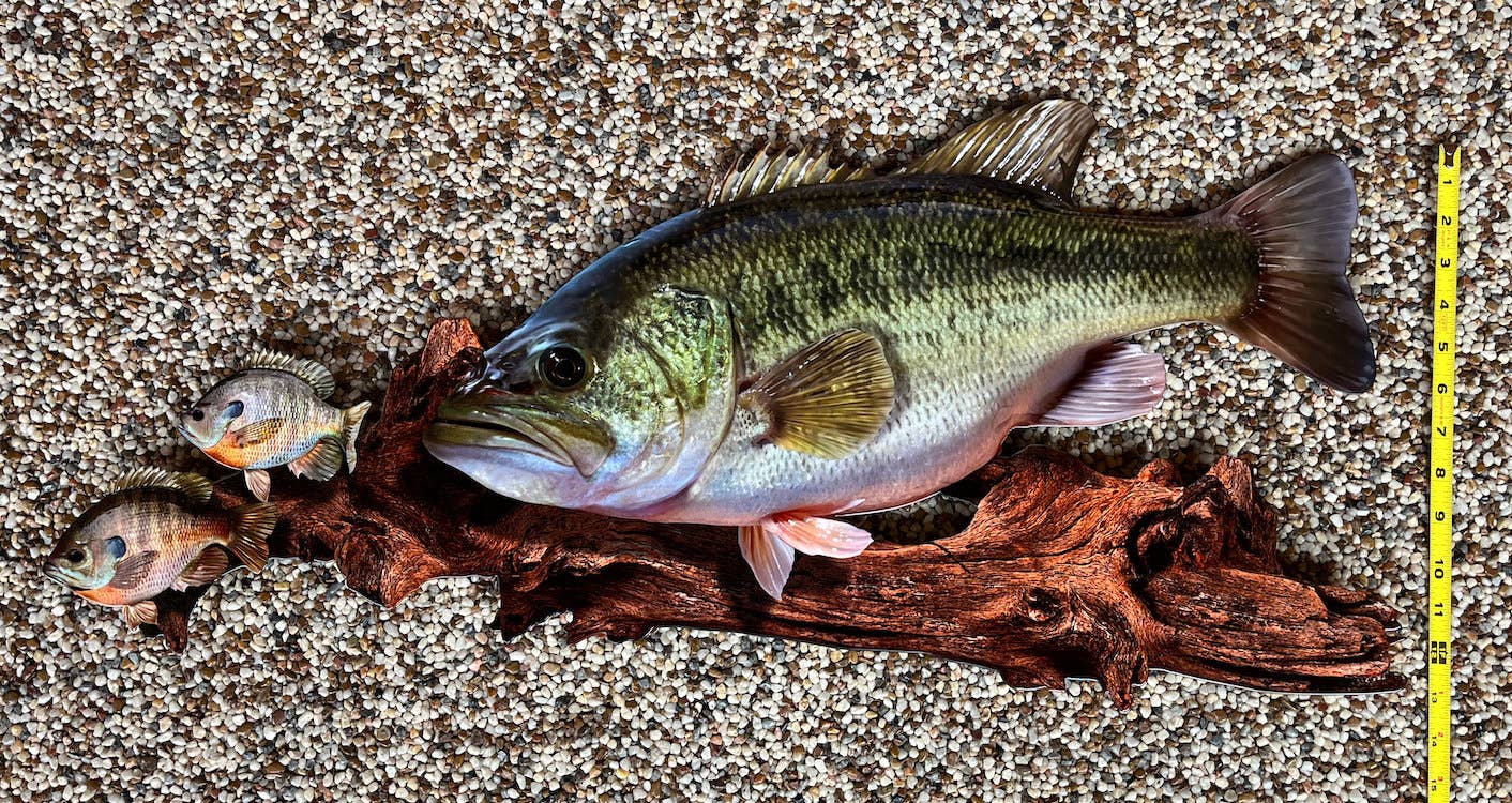 Largemouth Bass Replica - Metal Largemouth Replica Art 3