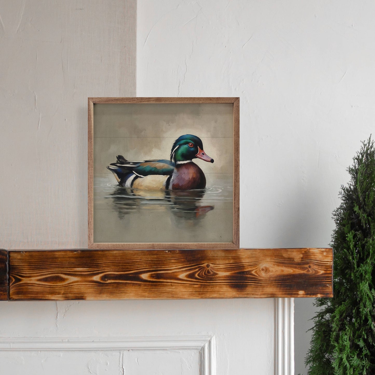 Wood Duck Portrait