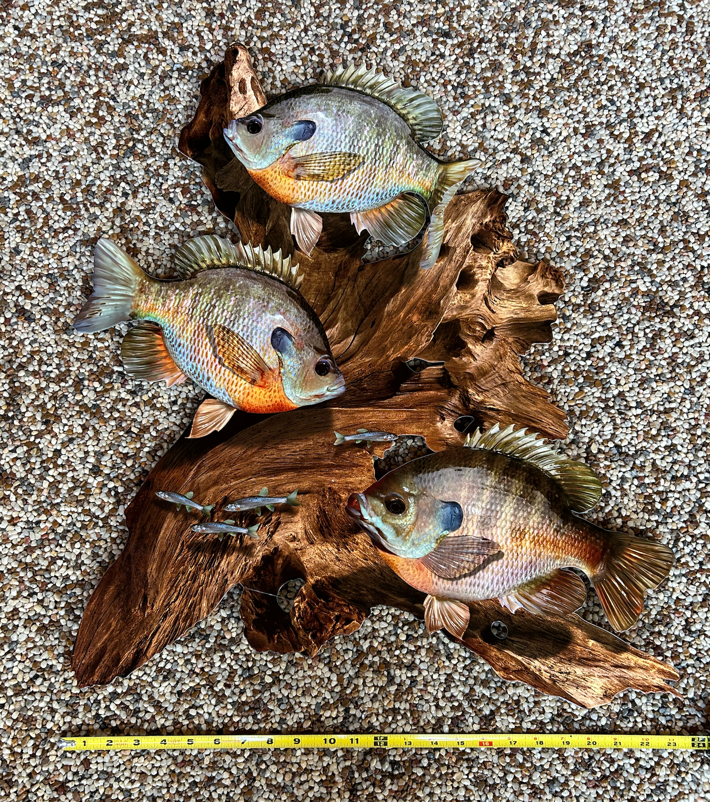 Bluegill Replica Driftwood Scene Rustic Home Decor, 2D Metal