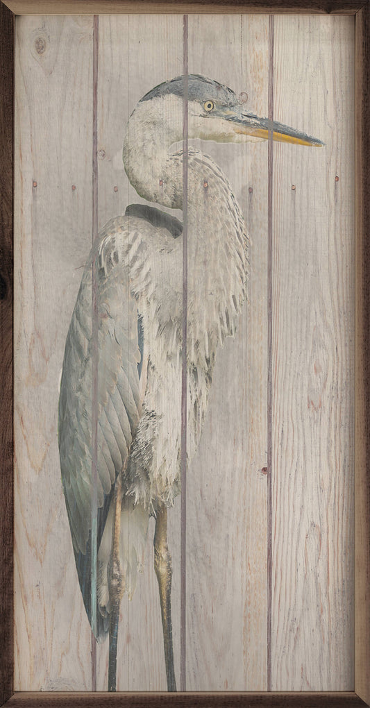 Heron Brown