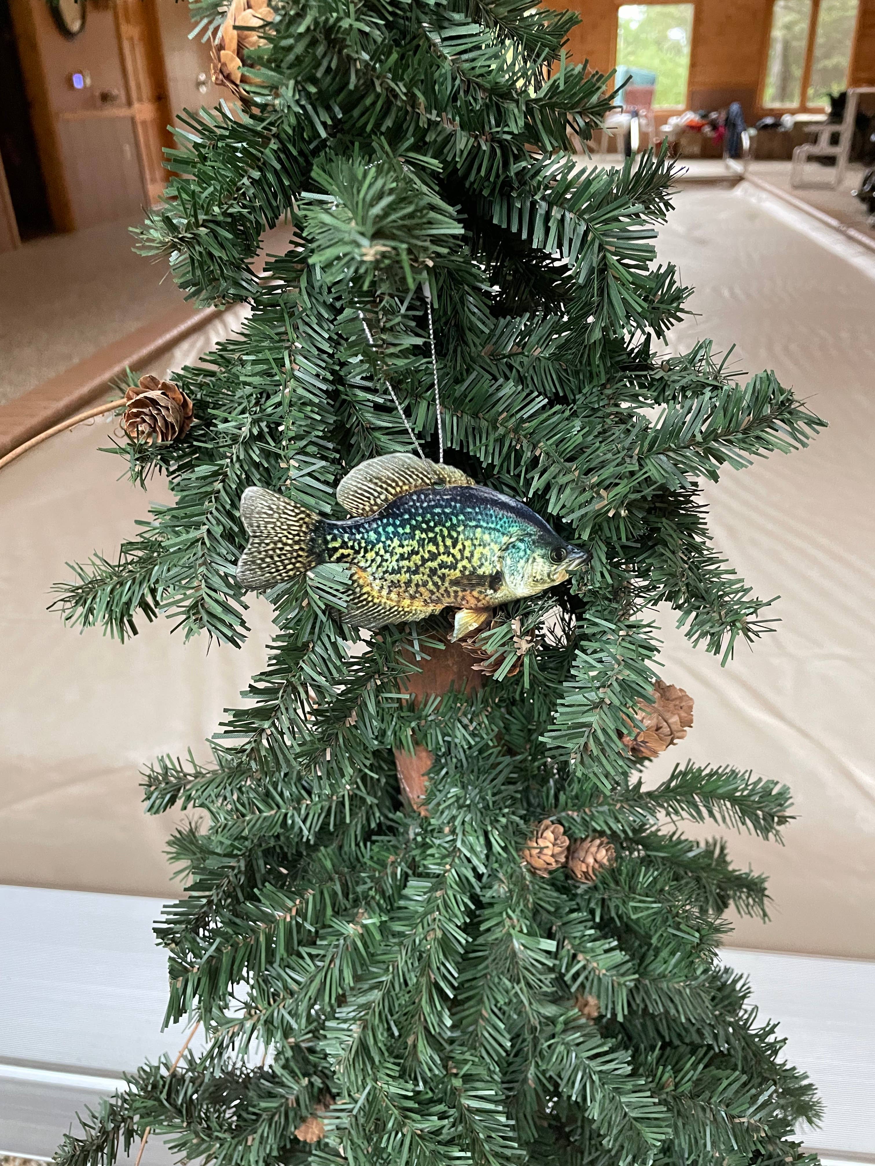 Crappie Fish Ornament, Realistic Christmas Fish Ornaments