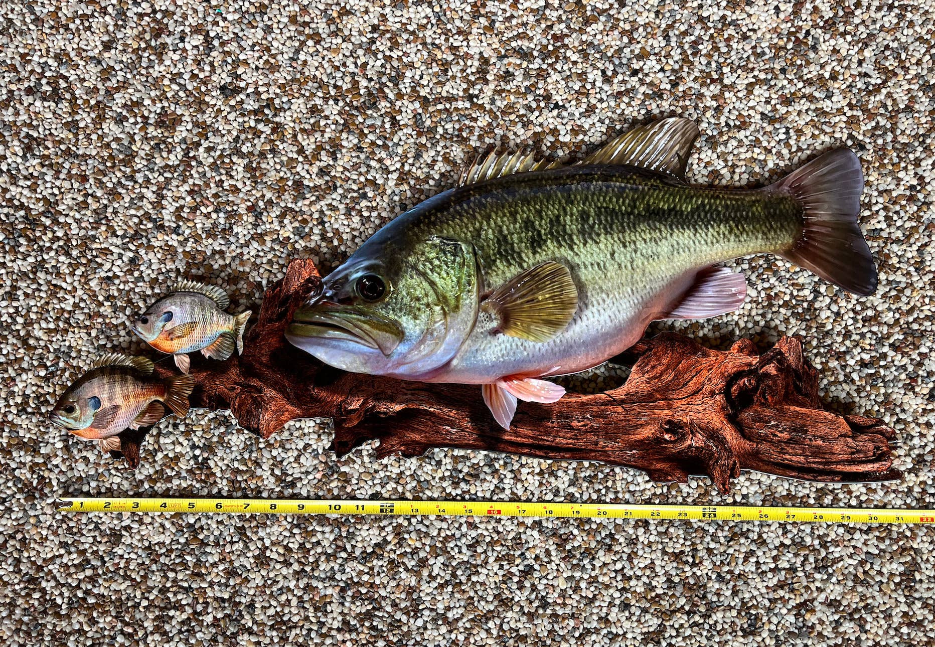 Largemouth Bass Replica - Metal Largemouth Replica Art