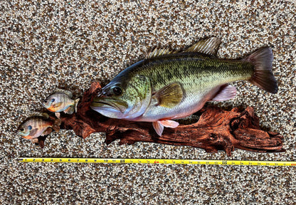 Largemouth Bass Replica - Metal Largemouth Replica Art