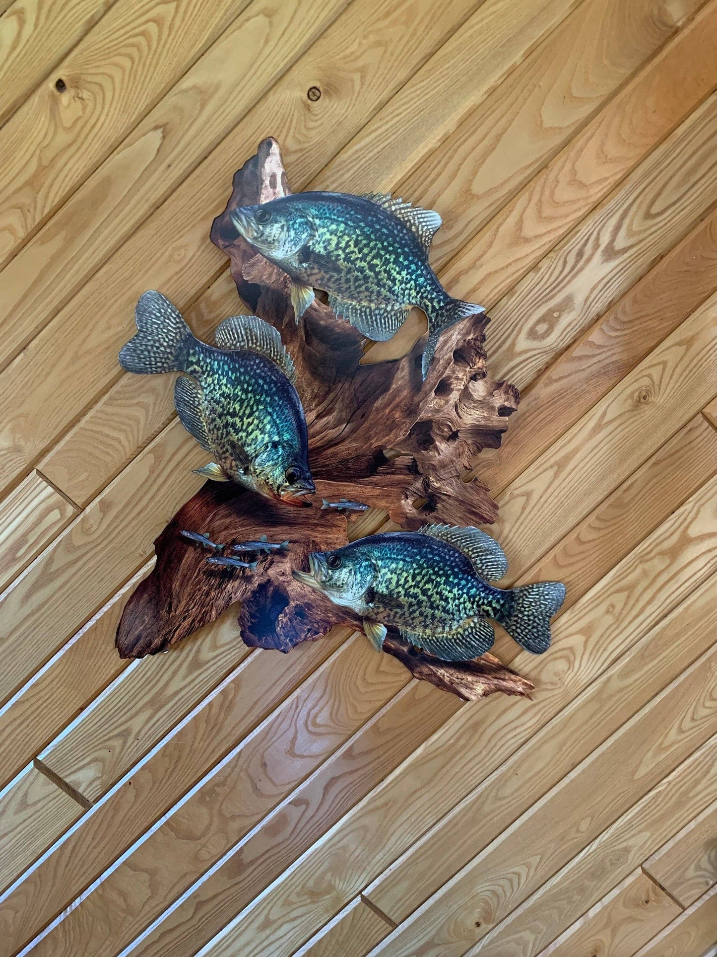 Crappie Replica Driftwood Scene Metal Rustic Decor