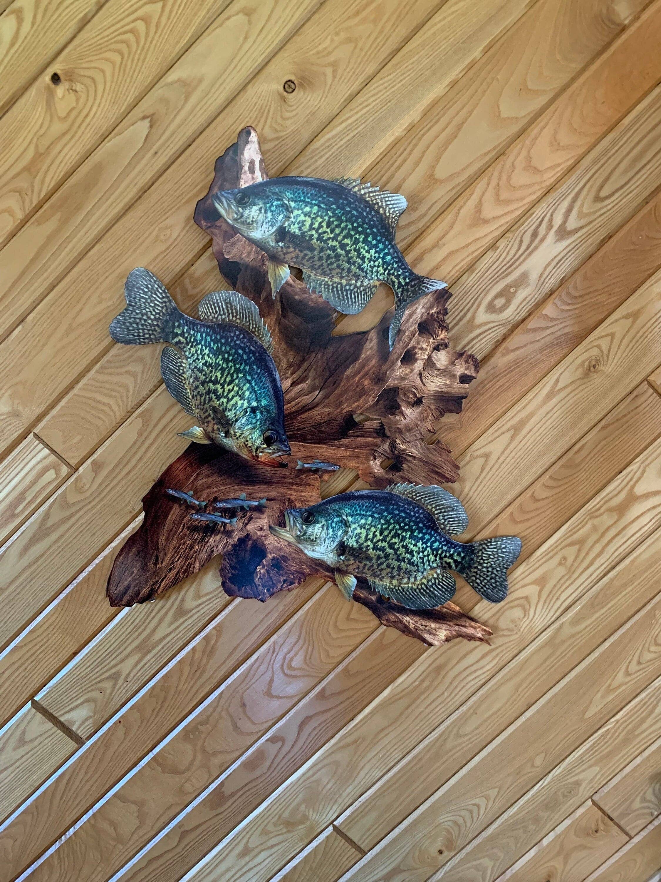Crappie Replica Driftwood Scene Metal Rustic Decor