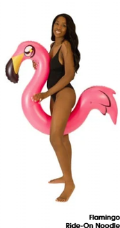 Flamingo Ride-On Noodle