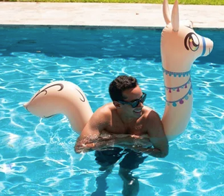 Llama Ride-On Pool Noodle