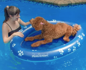 Inflatable Pet Float - Large Dog