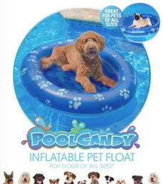 Inflatable Pet Float - Large Dog