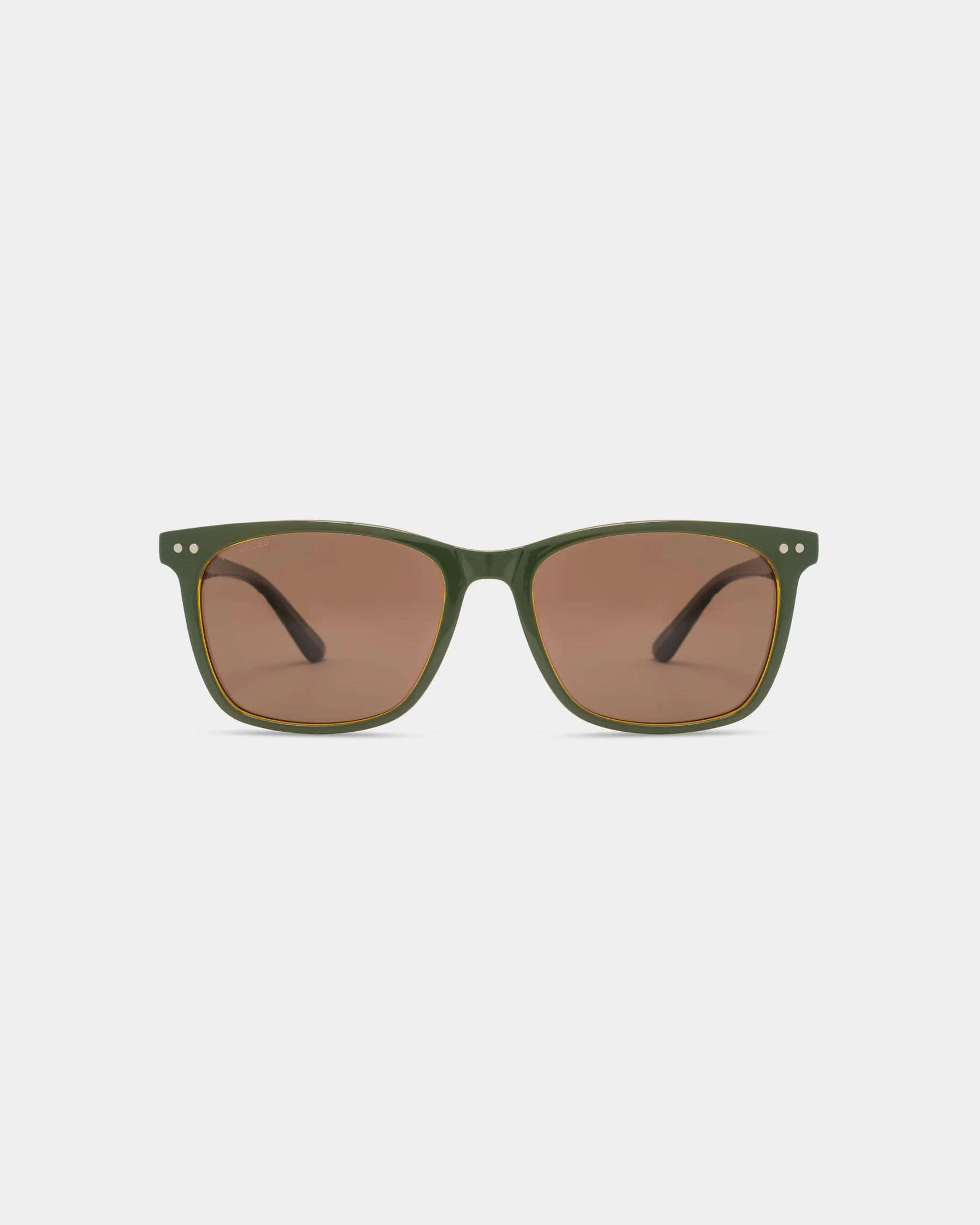 Salt Life Sunglasses Shiny Crystal Tan with Shiny Olive Frontspray Frame / Brown TAC Polarized Lens SL-005-327828 2