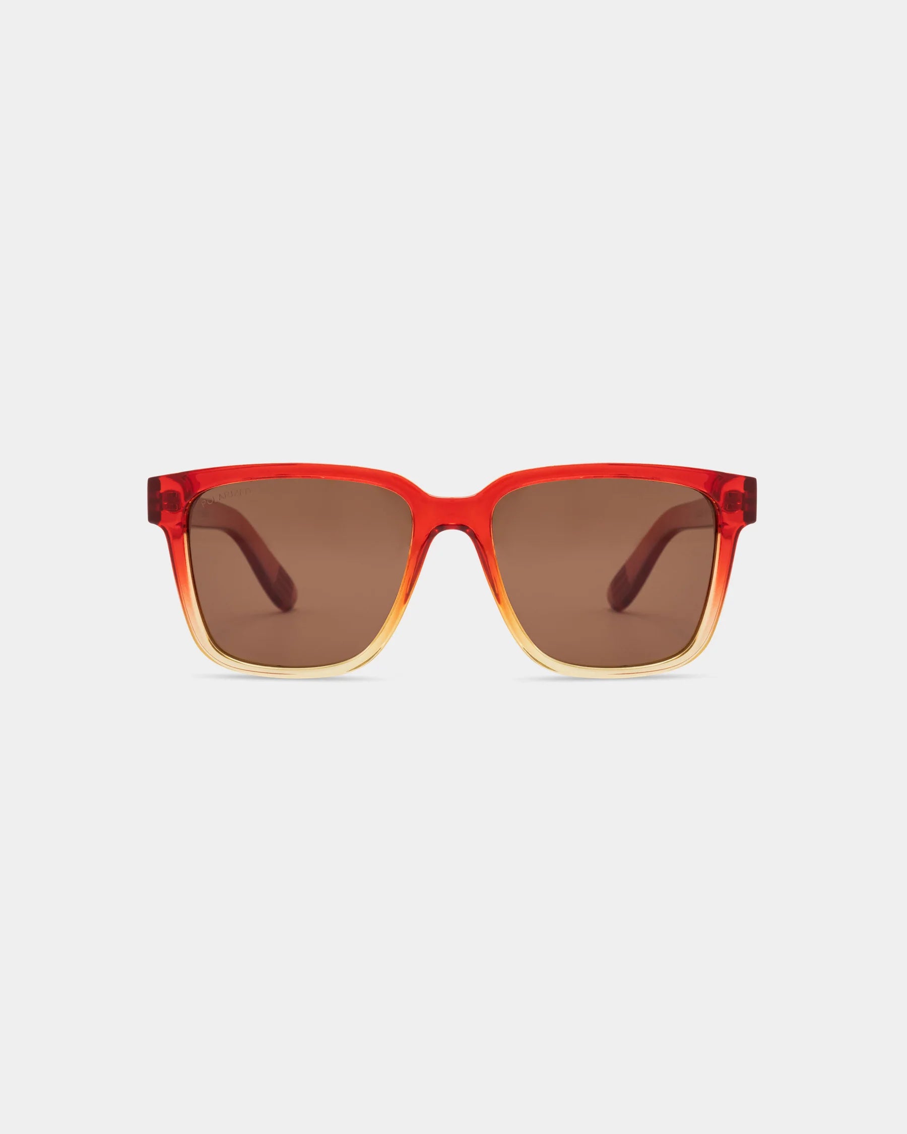Salt Life Sunglasses Shiny Crystal Plum / Tan Ombre / Gold Metal Frame / Brown TAC Polarized Lens SL-012-527828 2