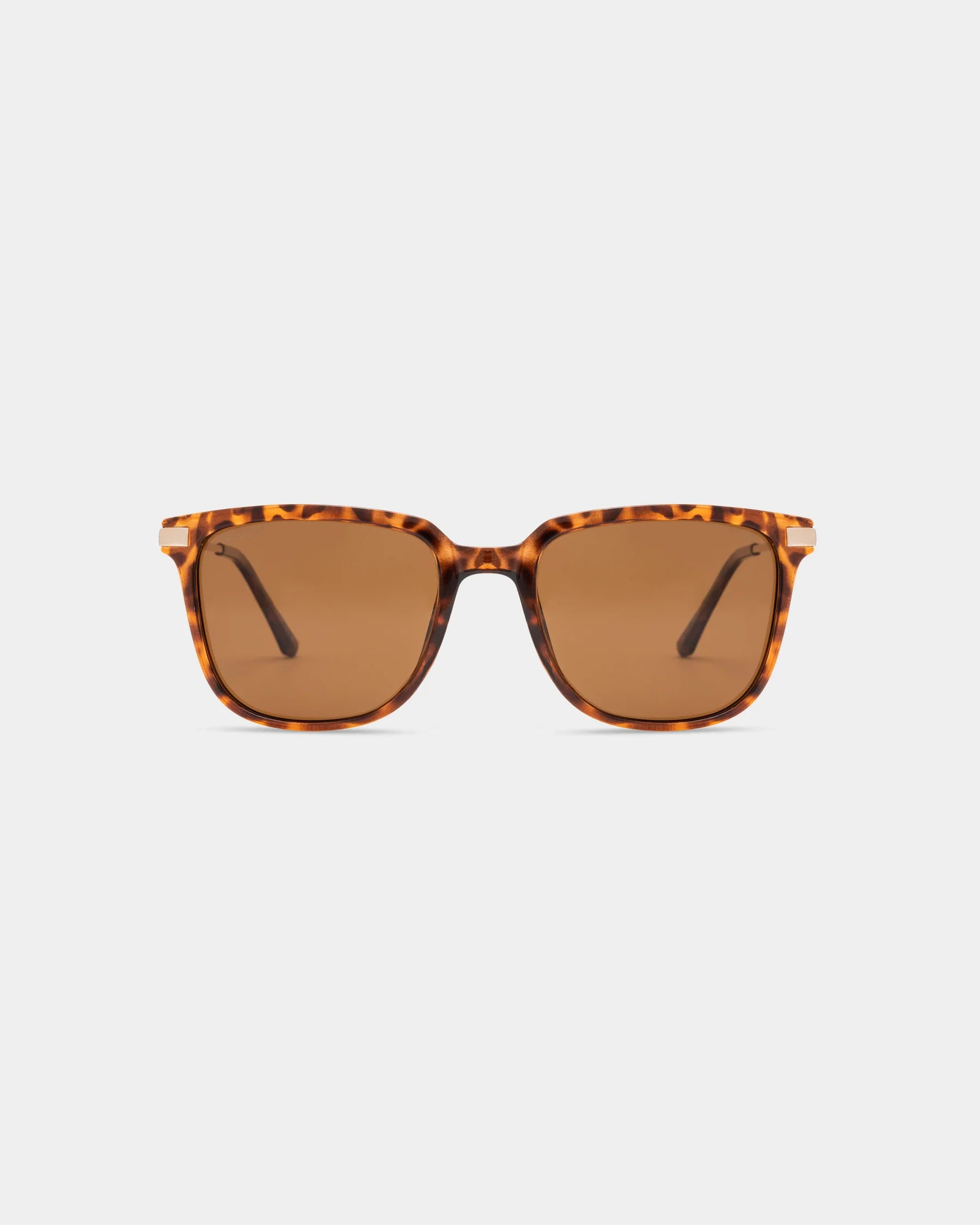 Salt Life Sunglasses Shiny Demi Tort Frame / Brown TAC Polarized Lens SL-013-959428 2