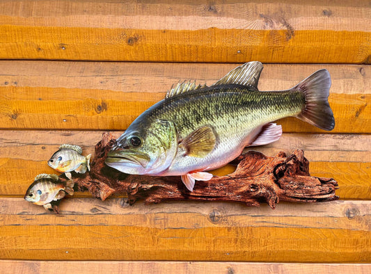 Largemouth Bass Replica - Metal Largemouth Replica Art