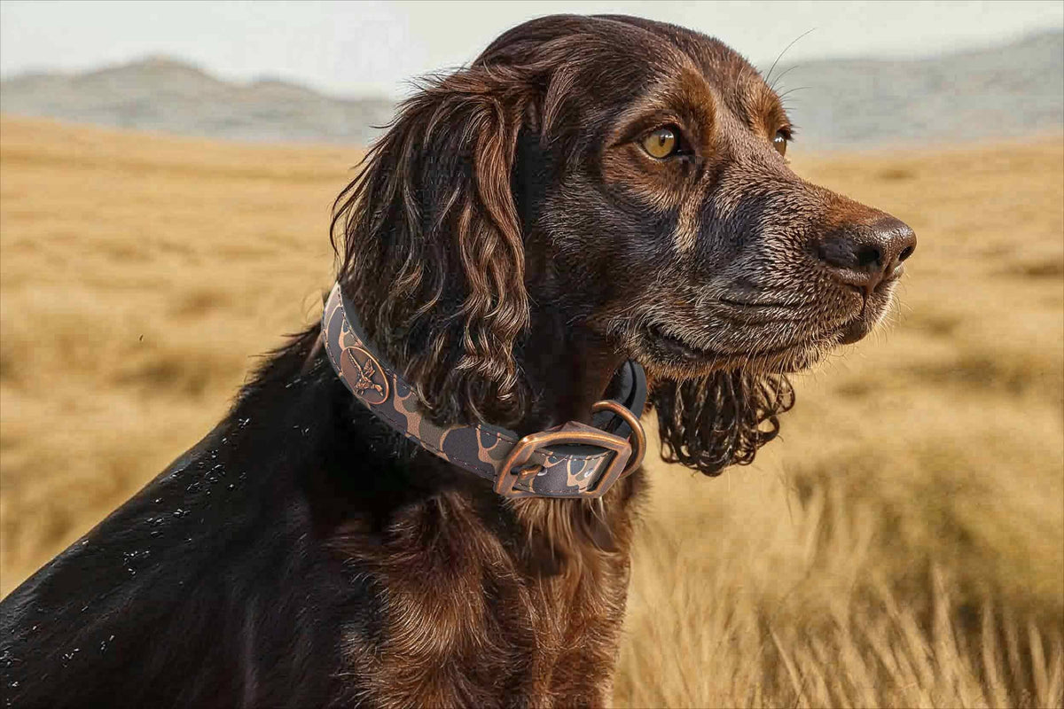 Alabama Crimson Tide Old School Camo Leather Dog Collar 4