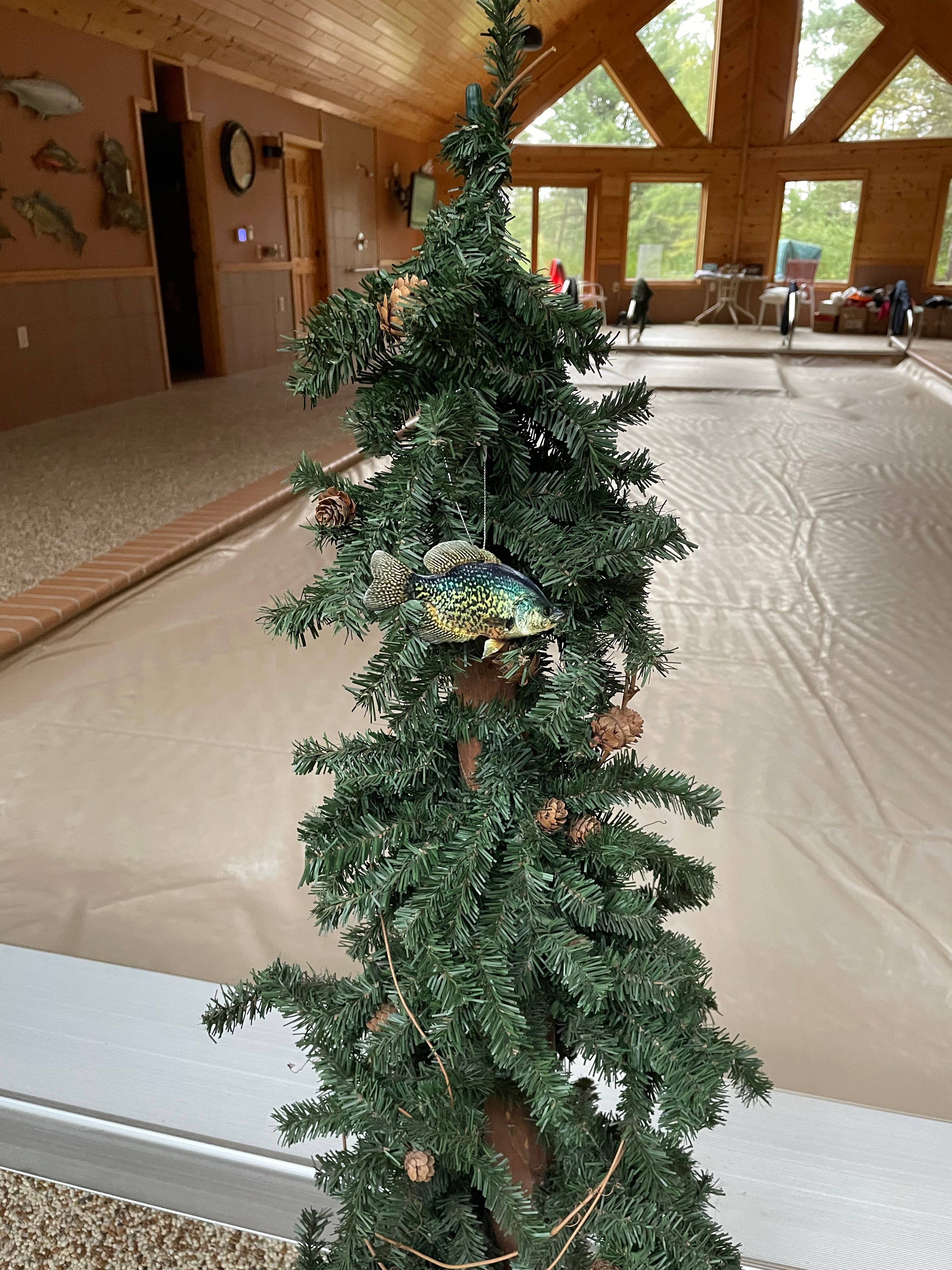 Crappie Fish Ornament, Realistic Christmas Fish Ornaments 4